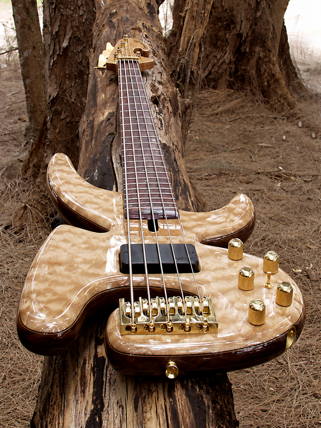 Petrounov JC five-string bass in natural wood
